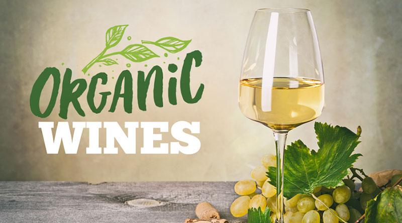 Rượu vang Organic xu hướng mới của thế giới